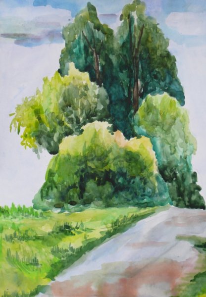 Этюды Лесной растительности