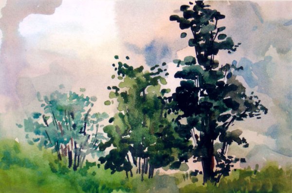 Деревья акварелью пленэр