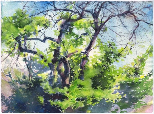 Плэнер Этюд кустарники