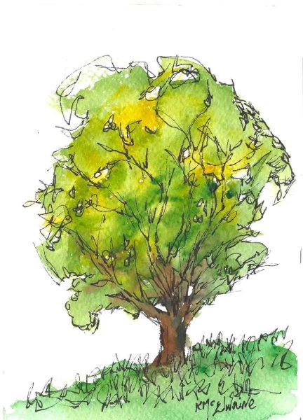 Деревья и кусты акварелью