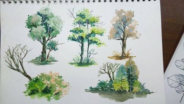 Антураж деревья отмывка