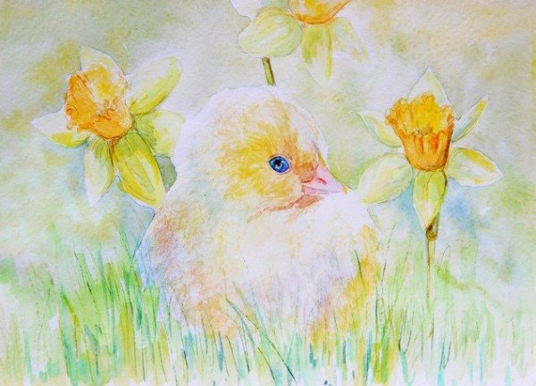 Рисование для детей цыпленок