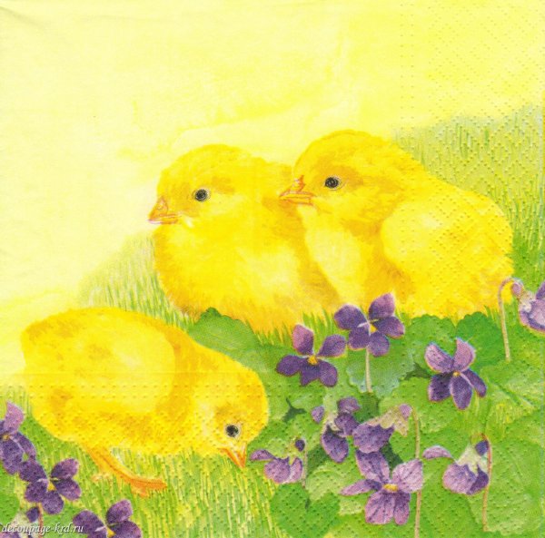 Цыплята рисунок гуашь с детьми