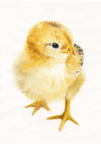 Курица гуашь