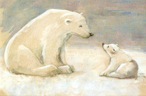 Рисование белого медведя