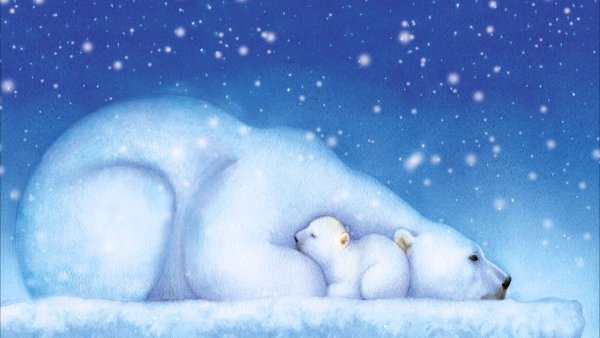 Картина белый мишка