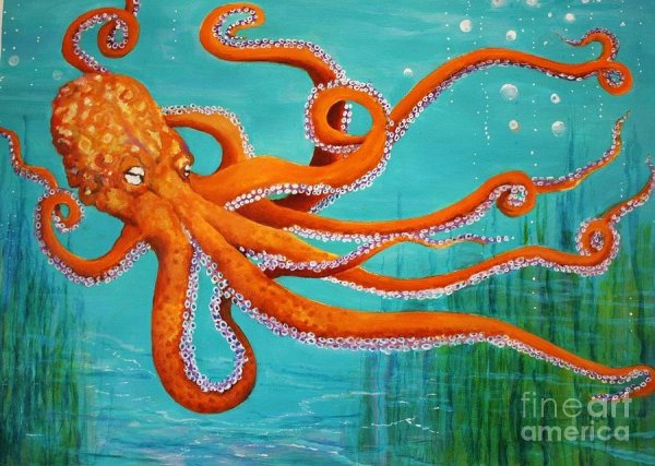 Морское дно осьминог