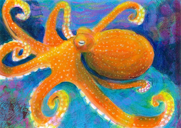 Морское дно осьминог