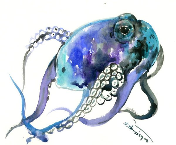Глубоководный осьминог Дамбо