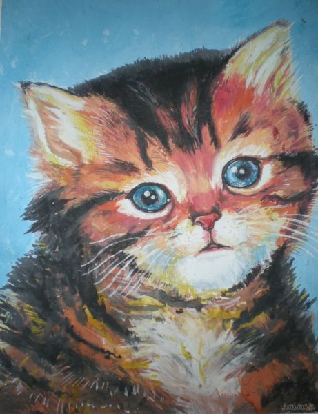 Котик гуашью