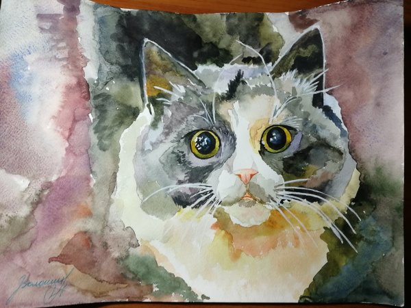 Кот акварелью