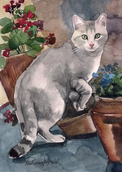 Кот гуашью