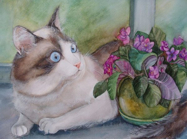 Котики художник Пловецкая Татьяна