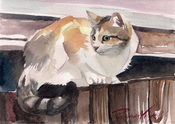 Пленэр этюды животных