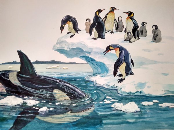 Рисование пингвина для детей