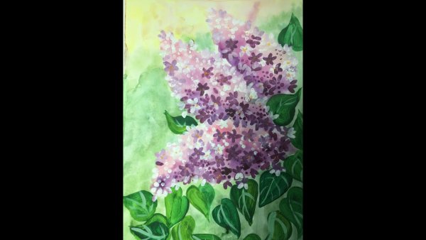 Сирень правополушарное рисование гуашью для детей