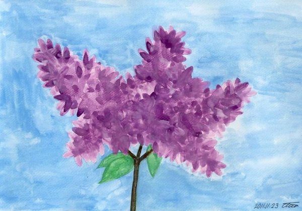 Рисование сирени