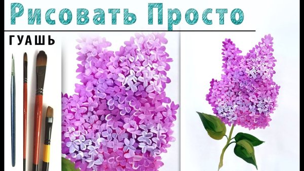 Сирень рисунок красками