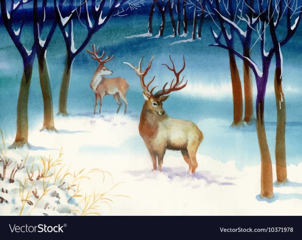 Олень в зимнем лесу гуашь