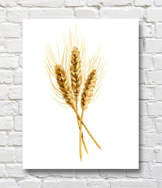 Колосья акварель