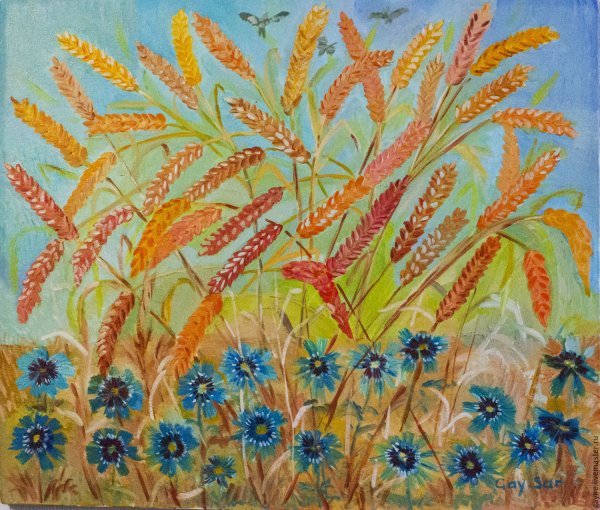 Рисование поле пшеницы в старшей группе