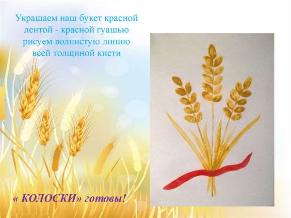 Рисование колосок пшеницы старшая группа