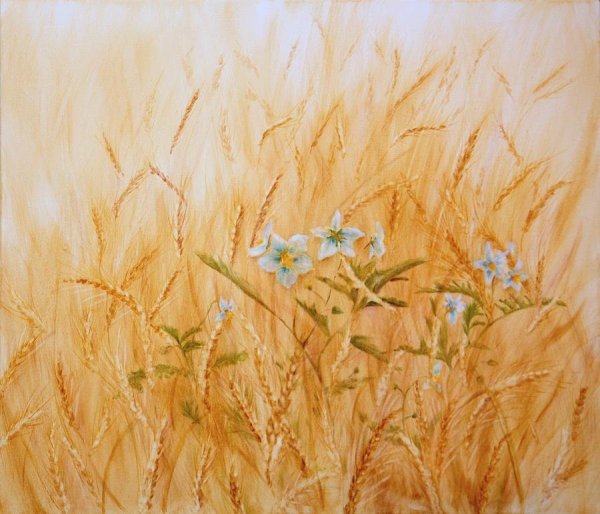 Аркадий Олейник картины пшеничное поле