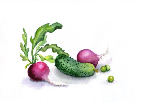 Овощи акварелью