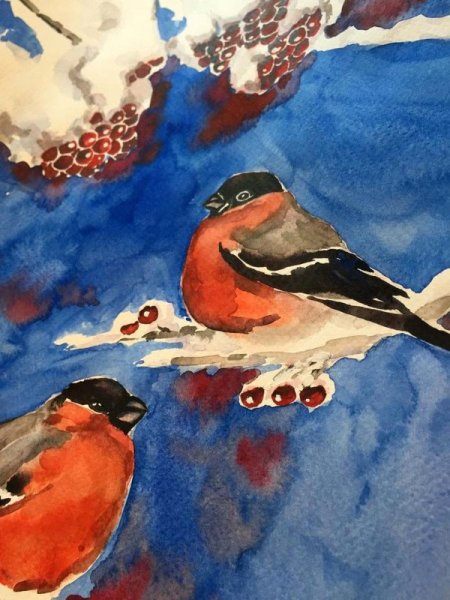 Снегирь гуашью
