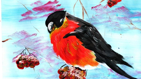 Снегирь рисунок красками