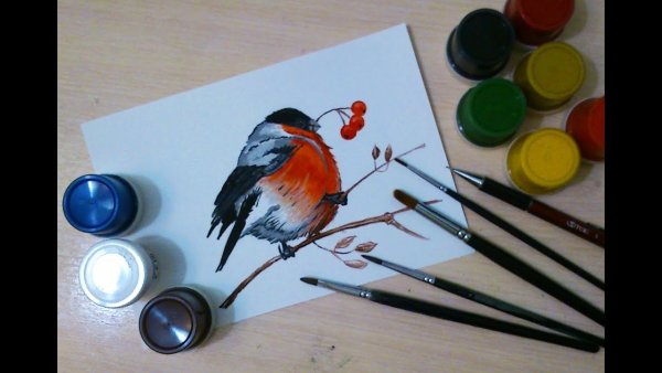 Снегири гуашью для начинающих