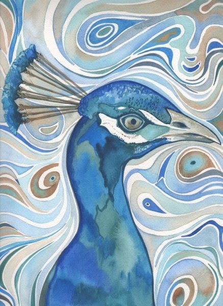 Павлин гуашью