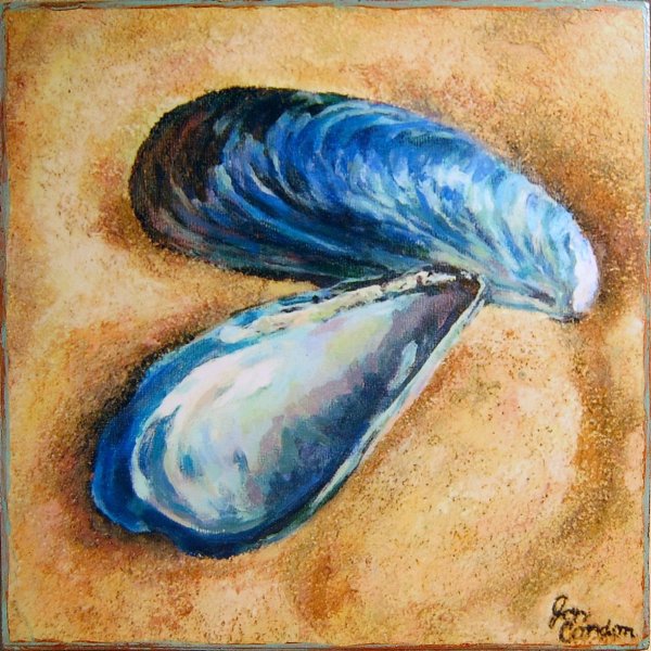 Мидии в ракушках