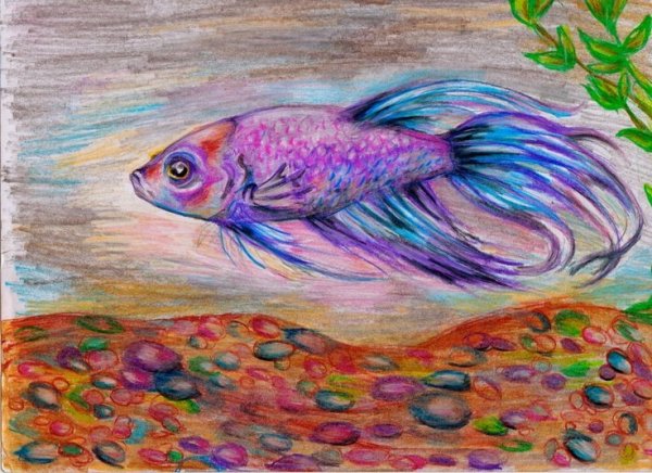 Аквариум цветными карандашами