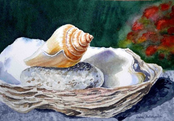 Ракушки акварелью