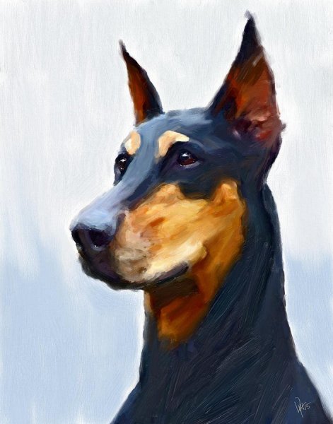 Доберман-пинчер картина