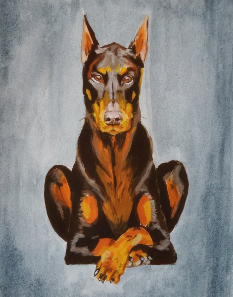 Доберман для взрослых акварель