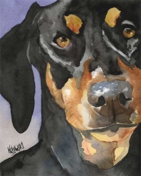 Доберман-пинчер картина