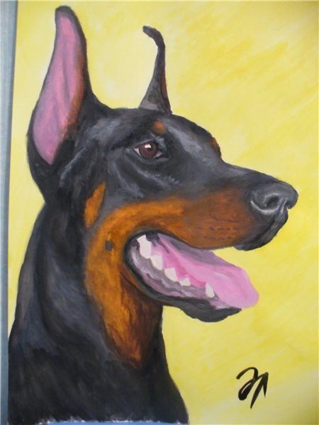 Немецкий пинчер акварель