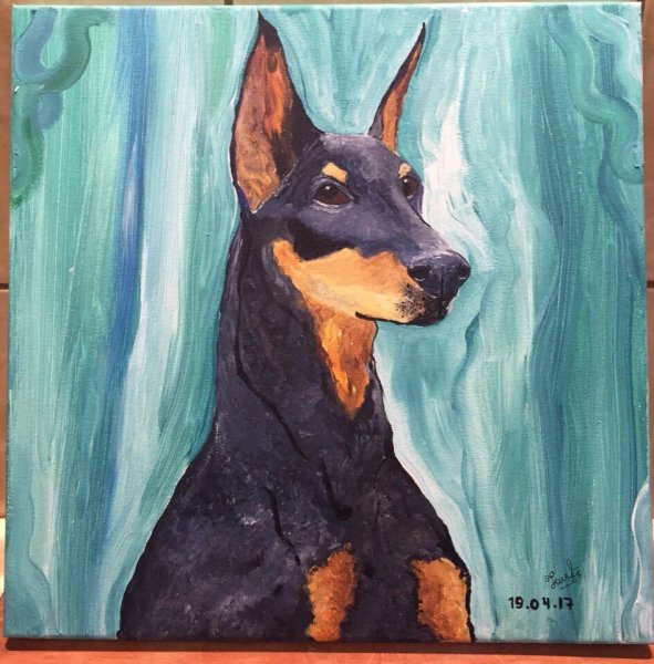 Доберман рисуется