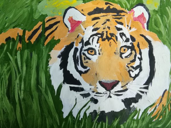 Амурский тигр гуашью