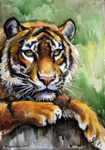 Животные гуашью