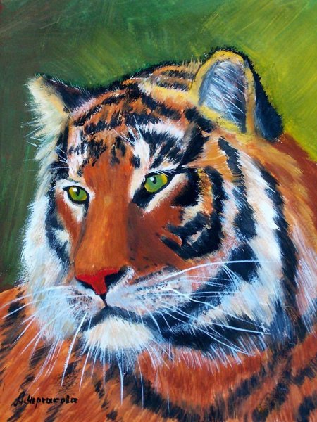 Амурский тигр гуашью