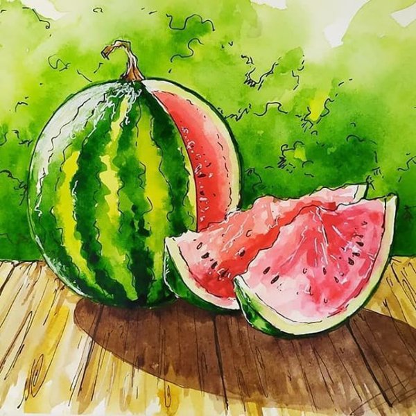 Арбуз рисунок