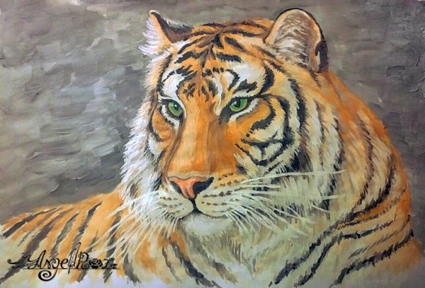 Тигр живопись гуашь