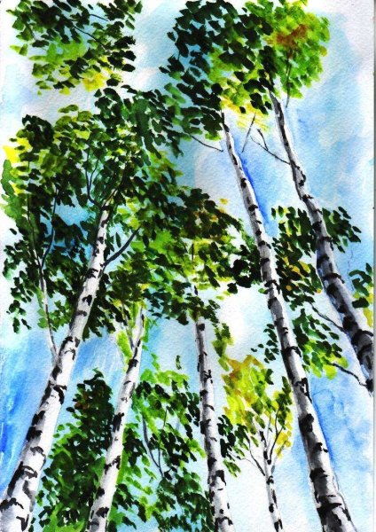 Владимир Деревенчук Березовая роща