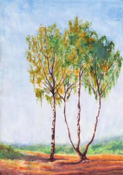 Пейзаж с березами гуашью