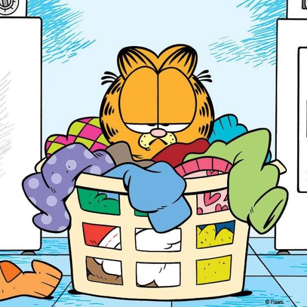 Картина Garfield