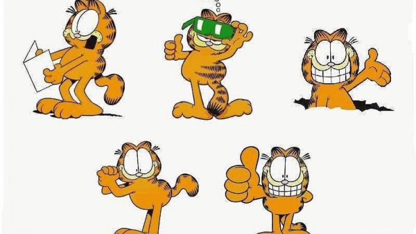 Гарфилд учитель