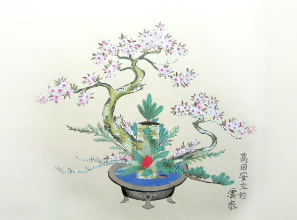 Икебана для срисовки